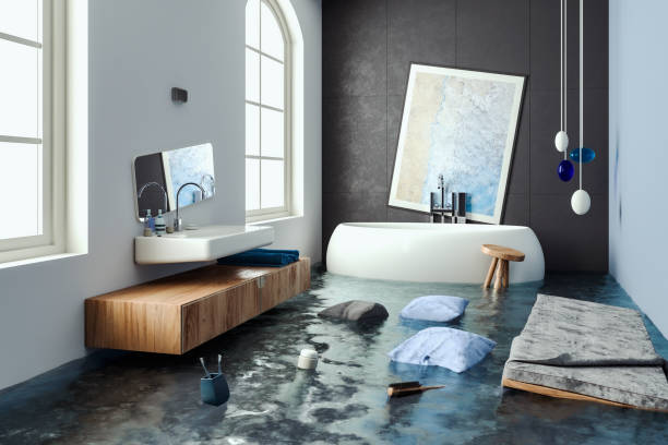 Best Mold removal after water damage  in Forty Fort, PA
