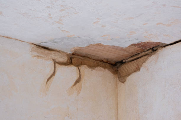 Reliable Forty Fort, PA Water damage restoration Solutions