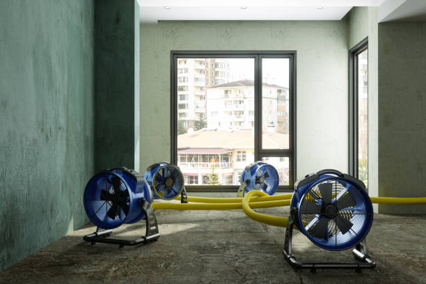Best Commercial water damage restoration  in Forty Fort, PA